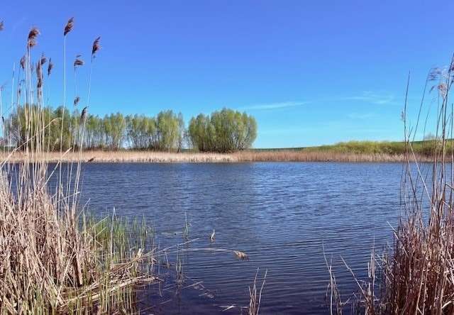 Thumbnail-Grundstück in Angermünde 176.000,00 € 107867 m²