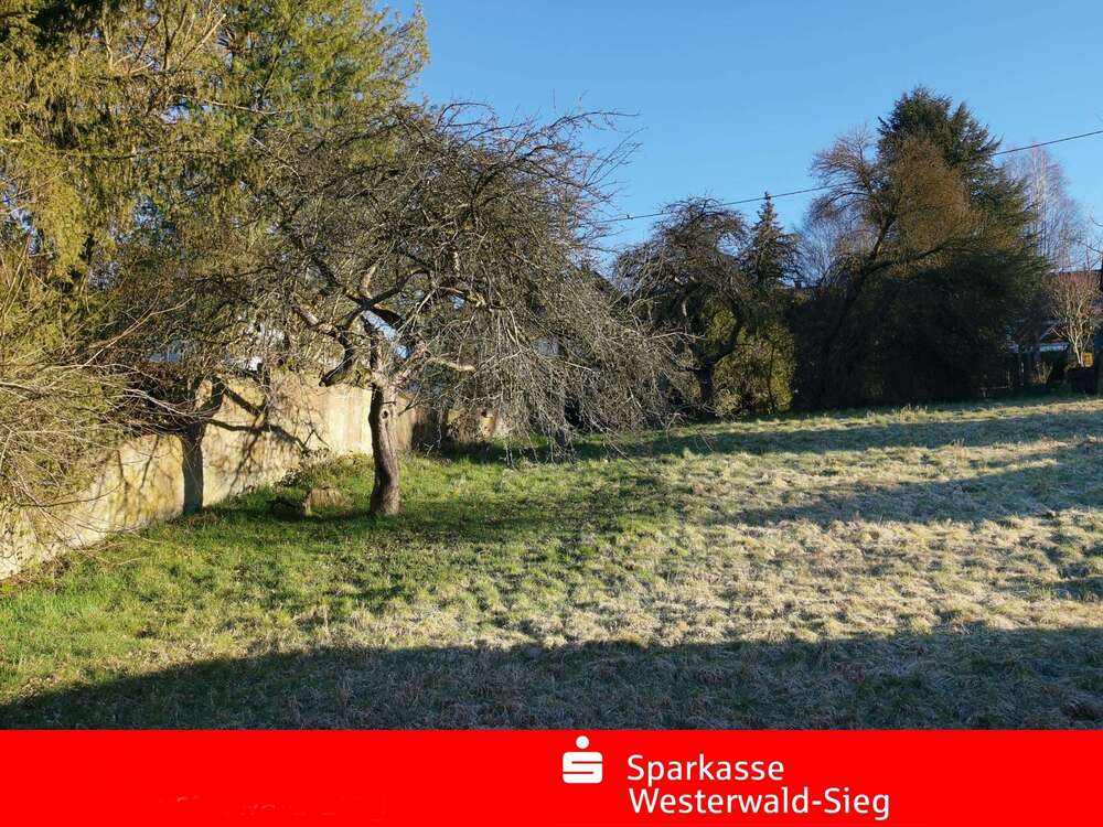 Thumbnail-Grundstück zu verkaufen in Hövels 45.000,00 € 1000 m²