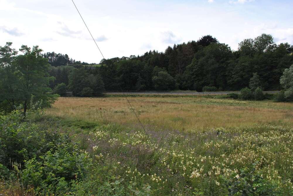 Thumbnail-Grundstück zu verkaufen in Steinebach 25.245,00 € 561 m²