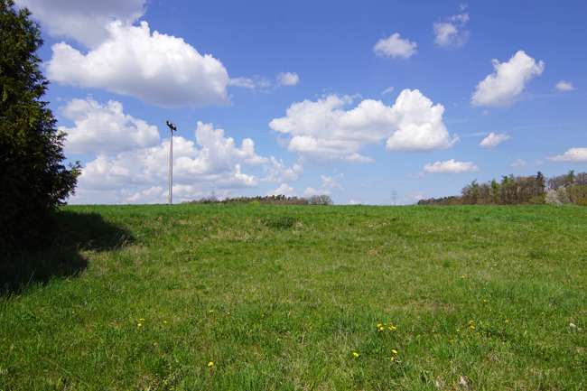 Thumbnail-Haus zum Kaufen in Roßtal Buchschwabach 469.000,00 € 140 m²