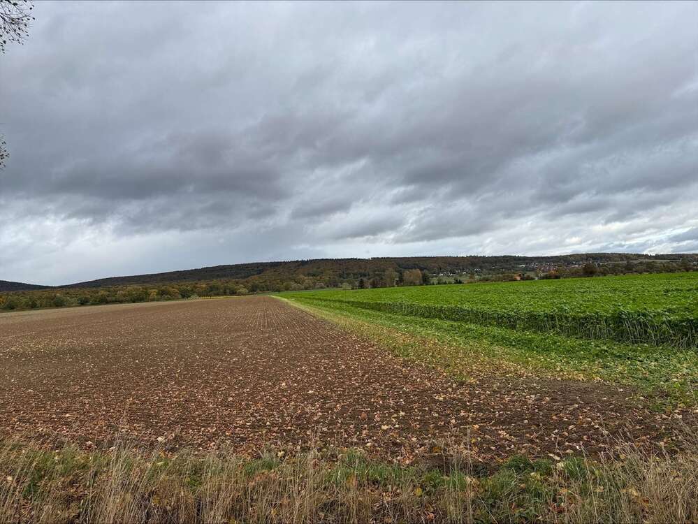 Thumbnail-Grundstück zu verkaufen in Springe-Alvesrode 159.000,00 € 1030 m²