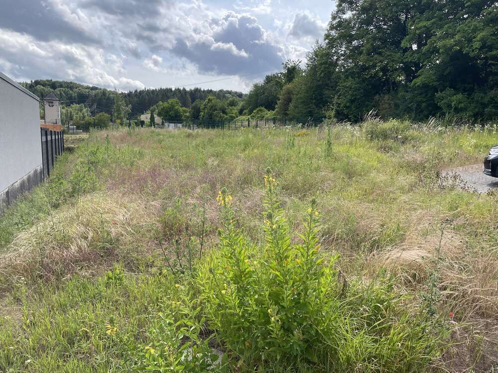 Thumbnail-Grundstück zu verkaufen in Bassenheim 286.960,00 € 844 m²