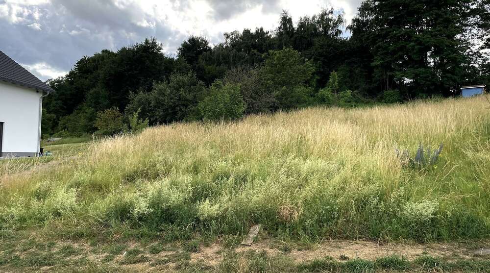 Thumbnail-Grundstück zu verkaufen in Bassenheim 327.600,00 € 1092 m²