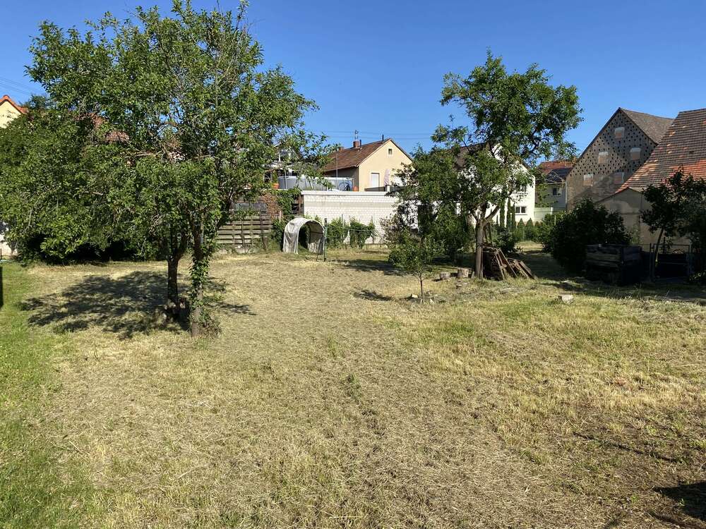 Thumbnail-Grundstück zu verkaufen in Neuhofen 340.000,00 € 438 m²