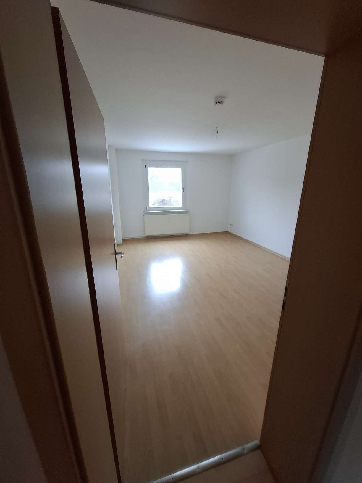 Thumbnail-Wohnung zum Mieten in Bitterfeld-Wolfen 350,00 € 50 m²