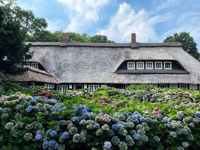 Thumbnail-Haus zum Kaufen in Wildeshausen 2.400.000,00 € 700 m²