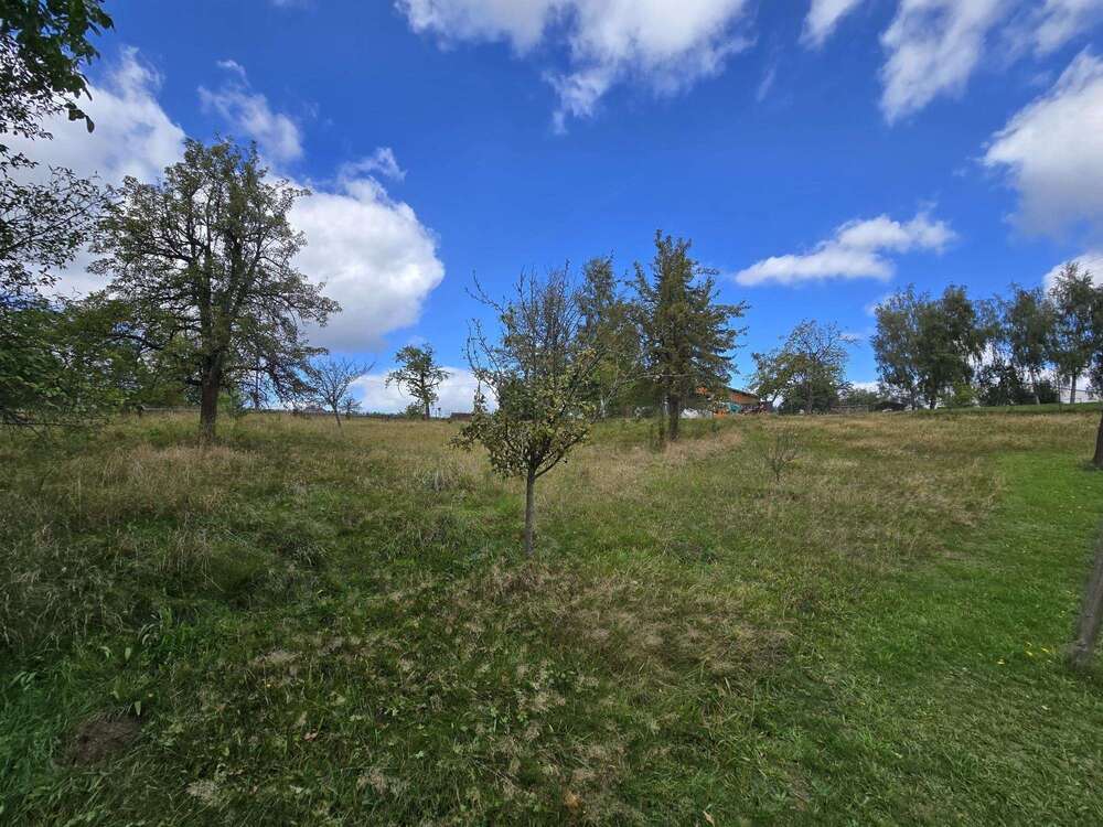 Thumbnail-Grundstück zu verkaufen in Dresden 179.000,00 € 1024 m²