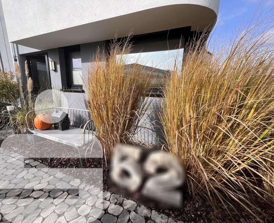 Thumbnail-Haus zum Kaufen in Dornstadt 799.000,00 € 177 m²