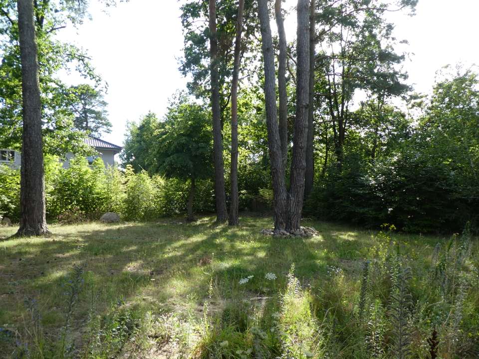 Thumbnail-Grundstück zu verkaufen in Wandlitz 320.000,00 € 874 m²