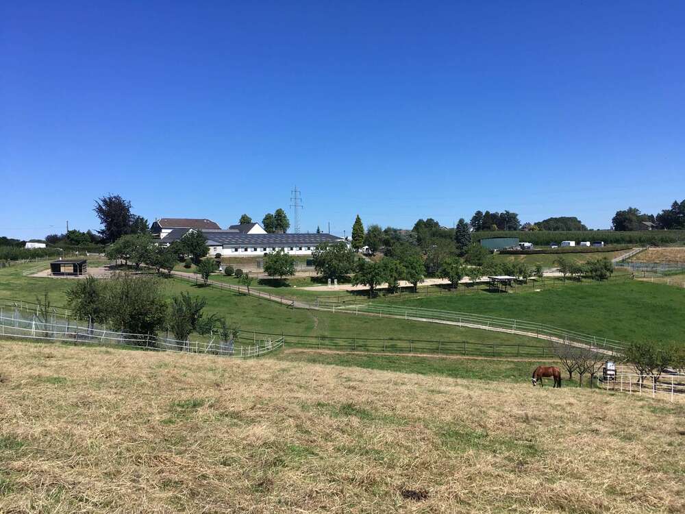 Thumbnail-Haus zum Kaufen in Burscheid 1.985.000,00 € 506 m²