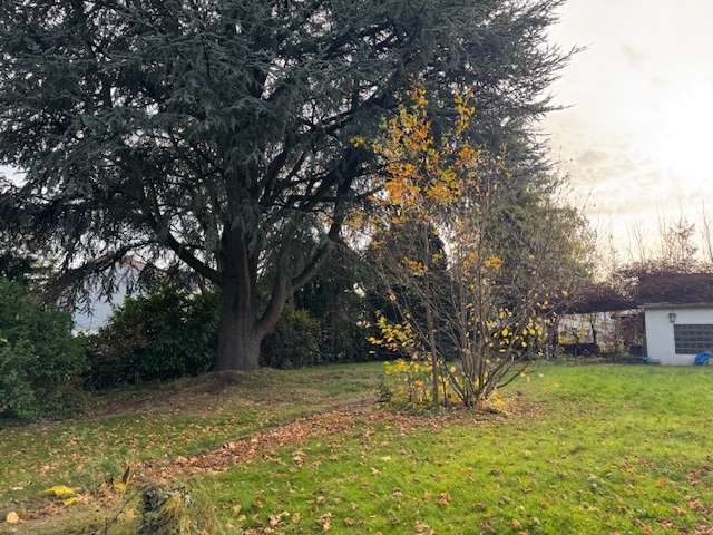 Thumbnail-Haus zum Kaufen in Essen 448.000,00 € 130 m²