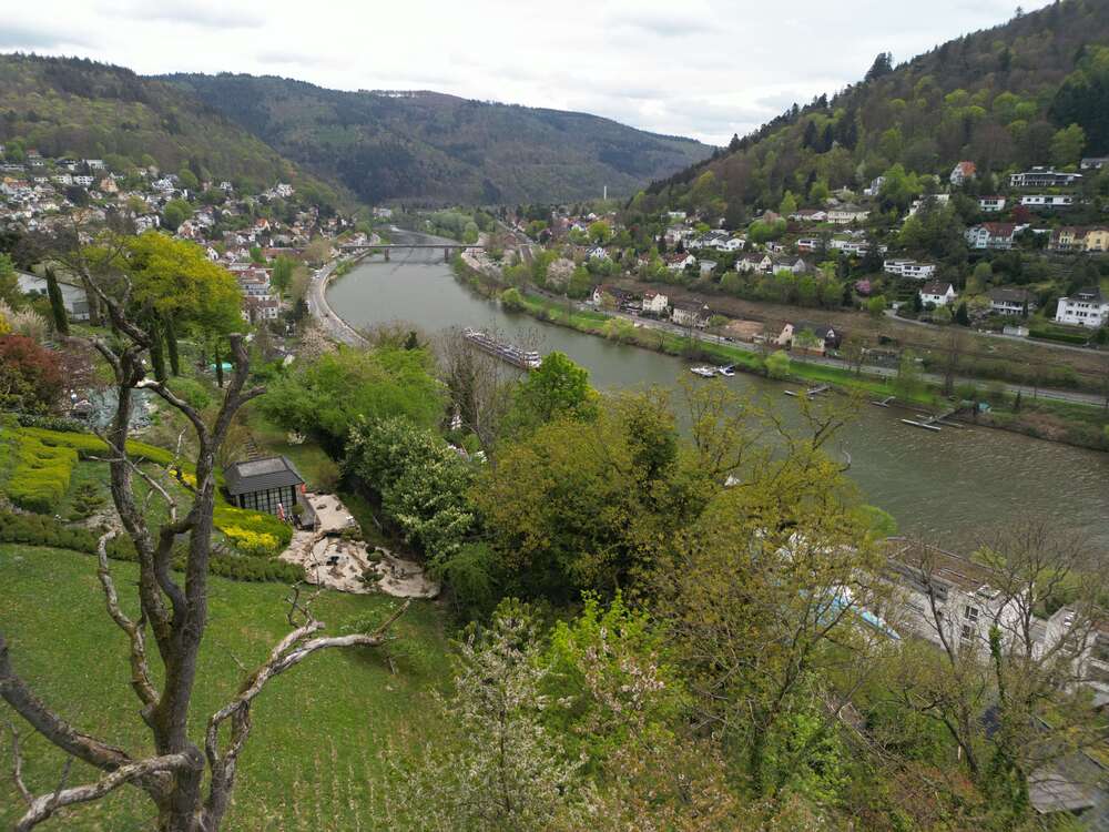 Thumbnail-Haus zum Kaufen in Heidelberg 1.200.000,00 € 256.13 m²