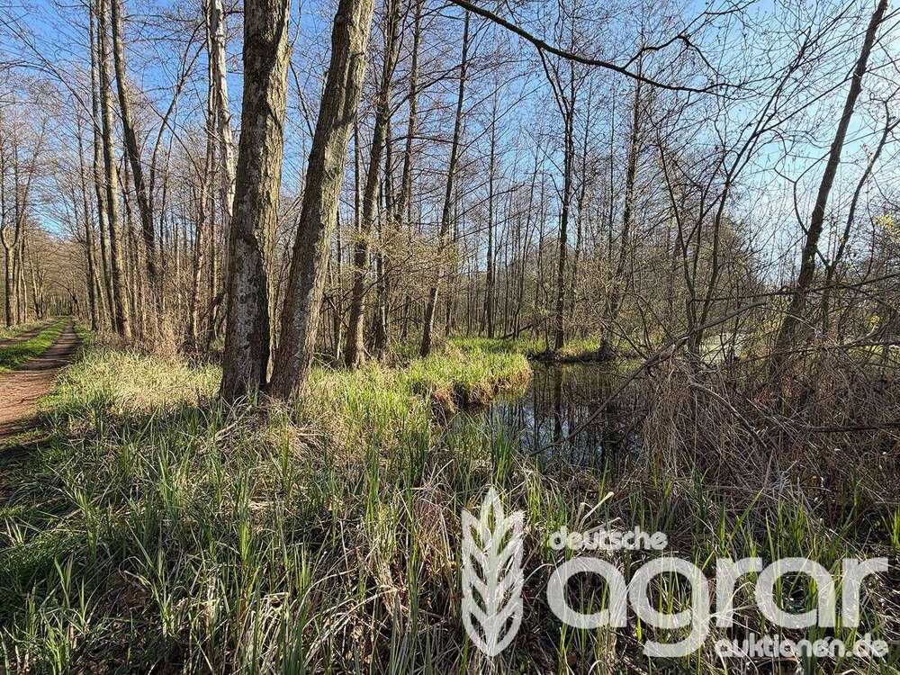 Thumbnail-Grundstück in LübbenauSpreewald Leipe 7.900,00 € 12541 m²