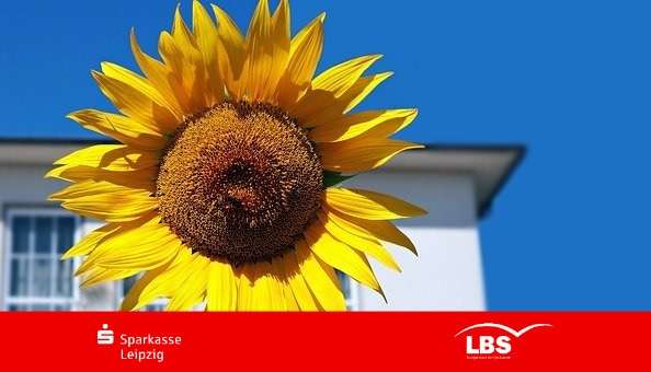 Thumbnail-Grundstück zu verkaufen in Schönwölkau 125.000,00 € 995 m²