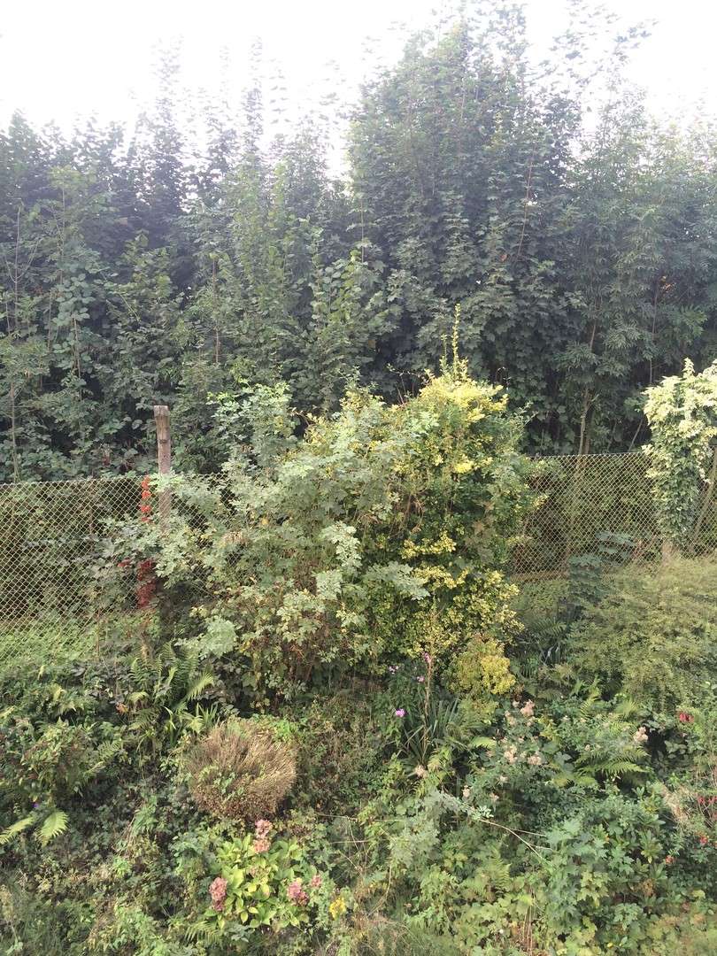 Thumbnail-Wohnung zum Mieten in Wuppertal 475,00 € 45 m²