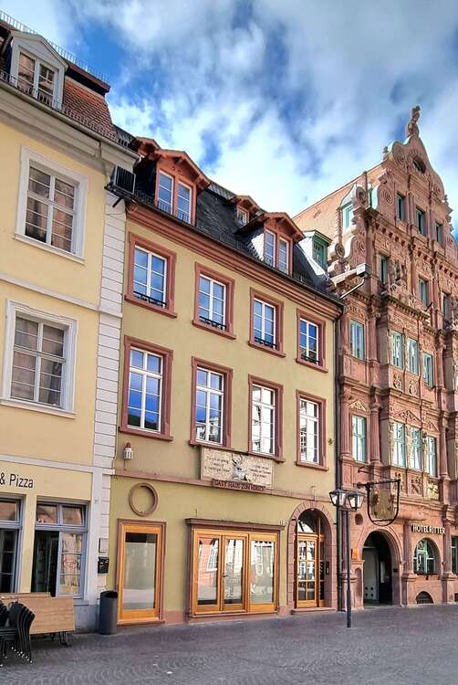 Thumbnail-Wohnung zum Mieten in Heidelberg 1.990,00 € 200 m²