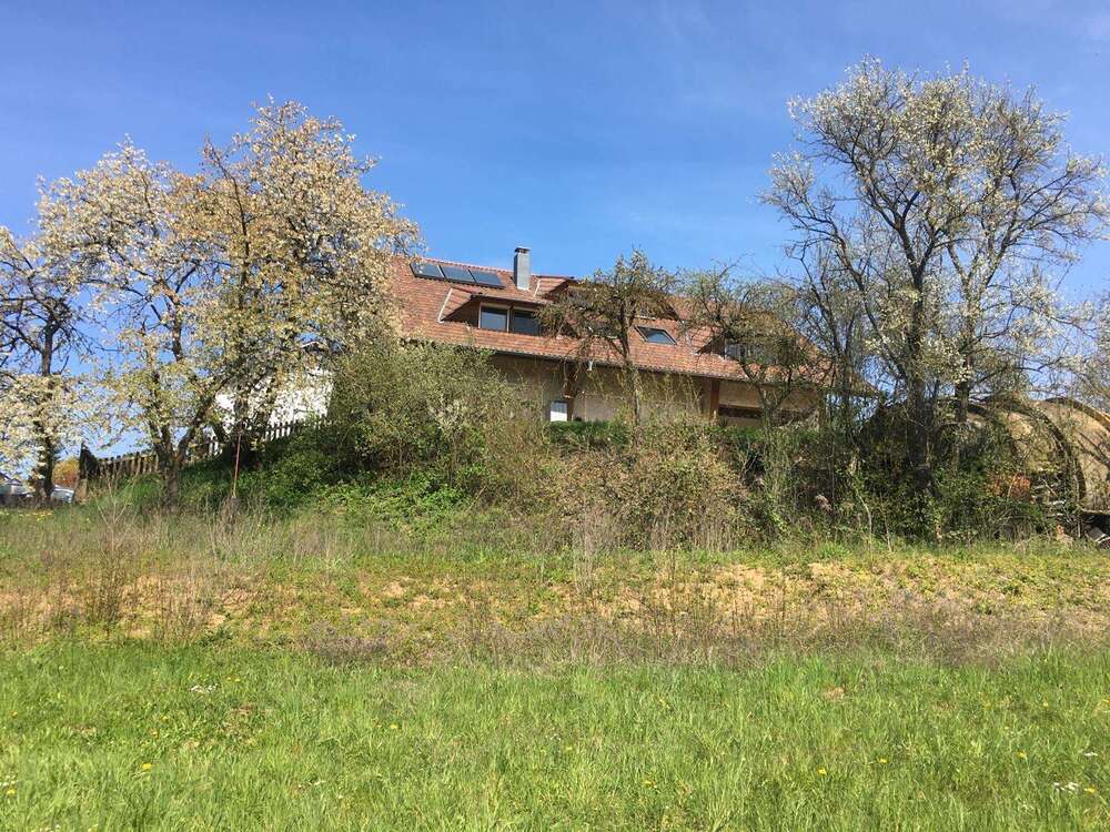 Thumbnail-Grundstück zu verkaufen in Ittlingen 191.000,00 € 515 m²
