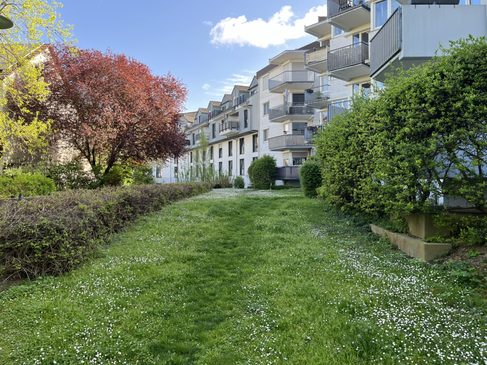 Thumbnail-Wohnung zum Kaufen in Mainz 145.000,00 € 20 m²