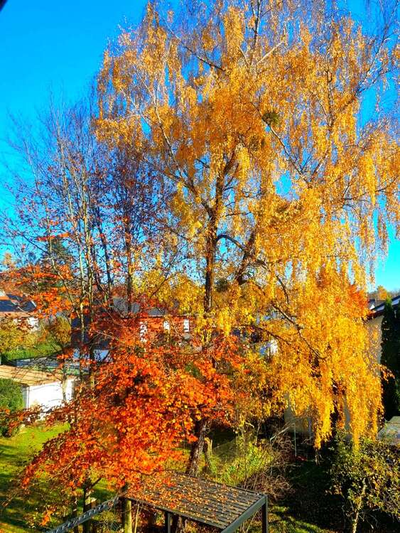 Thumbnail-Wohnung zum Kaufen in Kirchseeon 344.500,00 € 74 m²