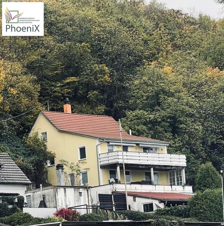 Thumbnail-Haus zum Kaufen in Wutöschingen 585.000,00 € 140 m²