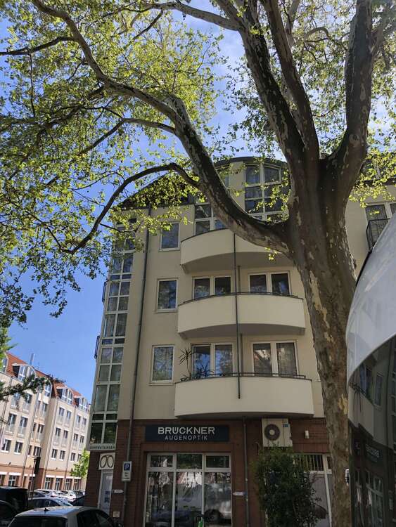 Thumbnail-Wohnung zum Mieten in Dresden 430,00 € 42 m²