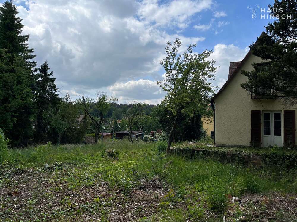 Thumbnail-Grundstück zu verkaufen in Neunkirchen am Sand 970.000,00 € 1700 m²