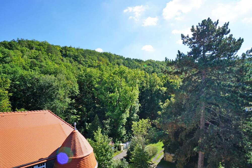Thumbnail-Wohnung zum Mieten in Freital Saalhausen 565,00 € 40.2 m²