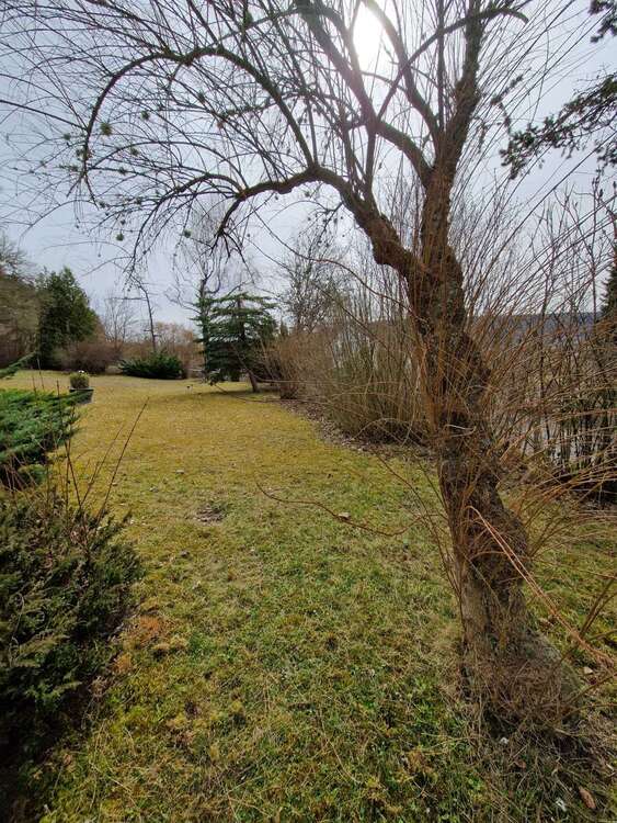 Thumbnail-Grundstück zu verkaufen in Wurmlingen 249.000,00 € 472 m²