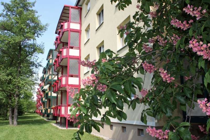 Thumbnail-Wohnung zum Mieten in Hoyerswerda 350,00 € 62.74 m²