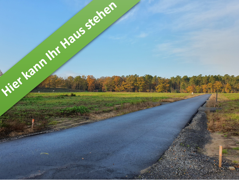 Thumbnail-Haus zum Kaufen in Hodenhagen 357.170,00 € 119 m²