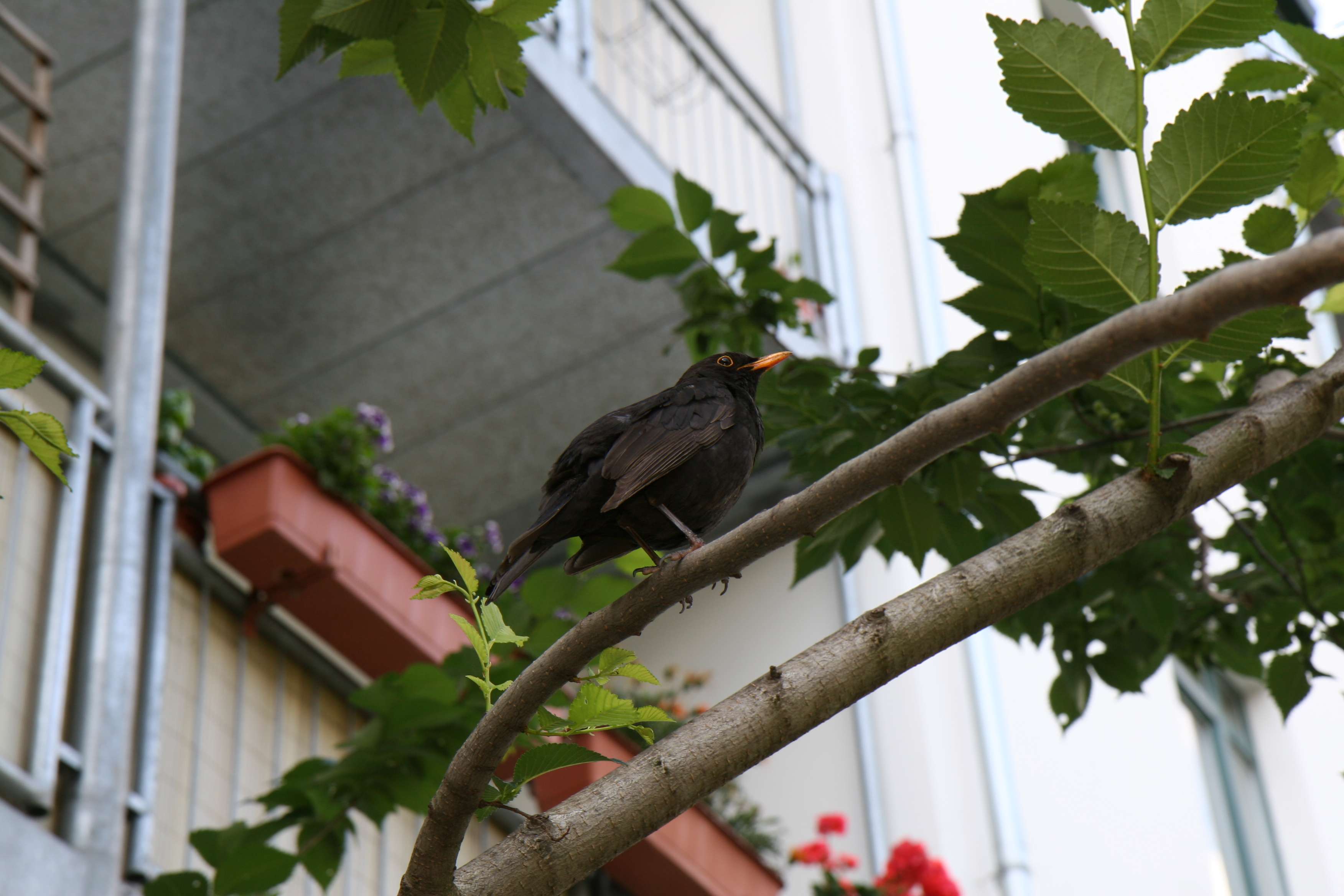 Thumbnail-Wohnung zum Kaufen in Leipzig 199.500,00 € 61.3 m²