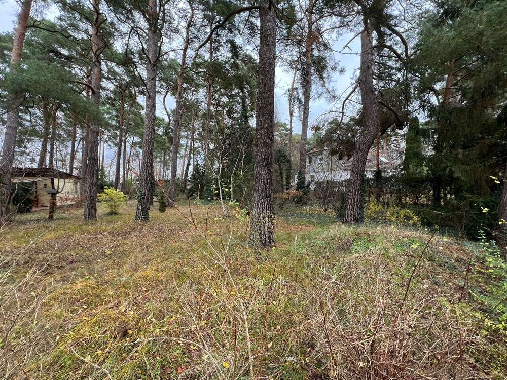 Thumbnail-Grundstück zu verkaufen in Blankenfelde-Mahlow 220.000,00 € 836 m²