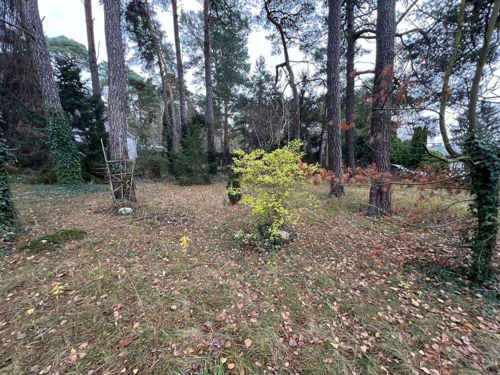 Thumbnail-Grundstück zu verkaufen in Blankenfelde-Mahlow 445.000,00 € 1658 m²