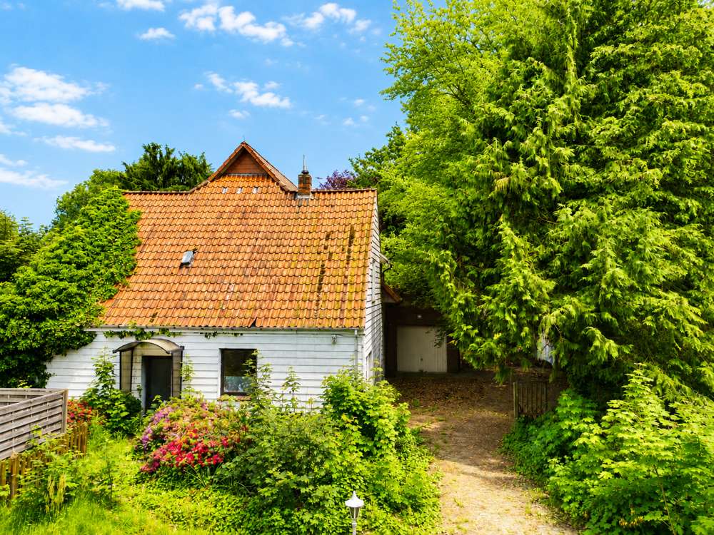 Thumbnail-Haus zum Kaufen in Wardenburg 300.000,00 € 189 m²