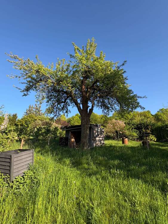 Thumbnail-Grundstück zu verkaufen in Stuttgart 25.000,00 € 542 m²