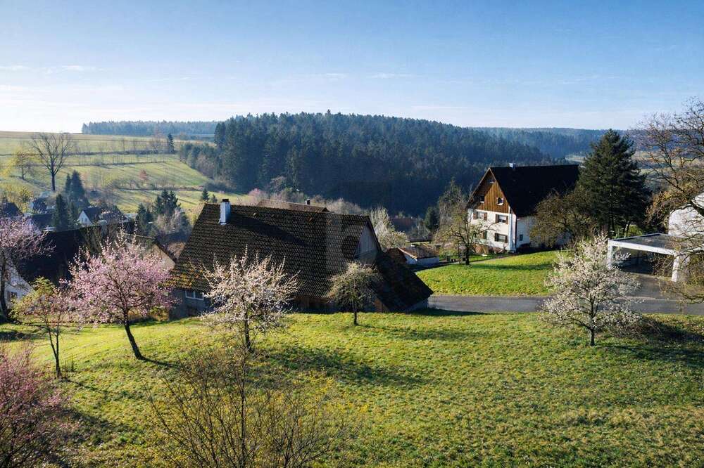 Thumbnail-Grundstück zu verkaufen in Alpirsbach 135.000,00 € 961 m²