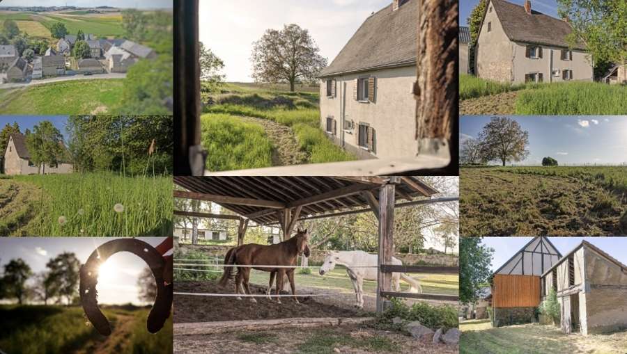 Thumbnail-Haus zum Kaufen in Münstermaifeld 239.000,00 € 140 m²