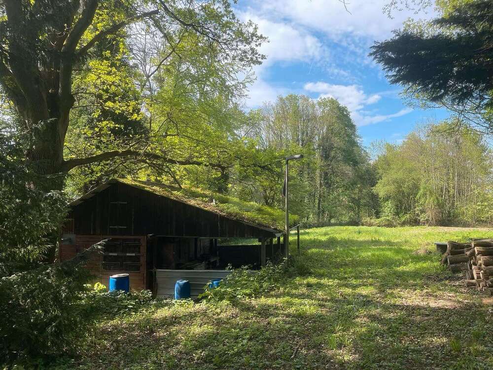 Thumbnail-Grundstück zu verkaufen in Kuppenheim 59.000,00 € 7500 m²