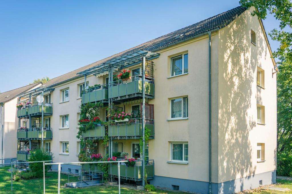 Thumbnail-Wohnung zum Mieten in Chemnitz 330,00 € 49.76 m²
