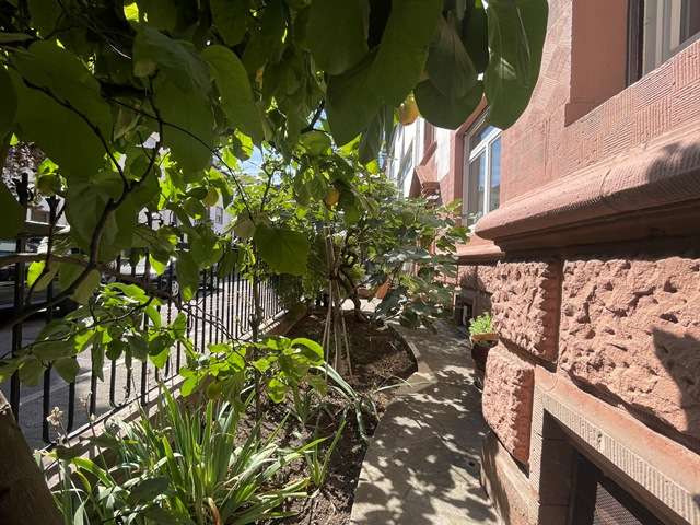 Thumbnail-Haus zum Kaufen in Mannheim 2.195.000,00 € 393.87 m²