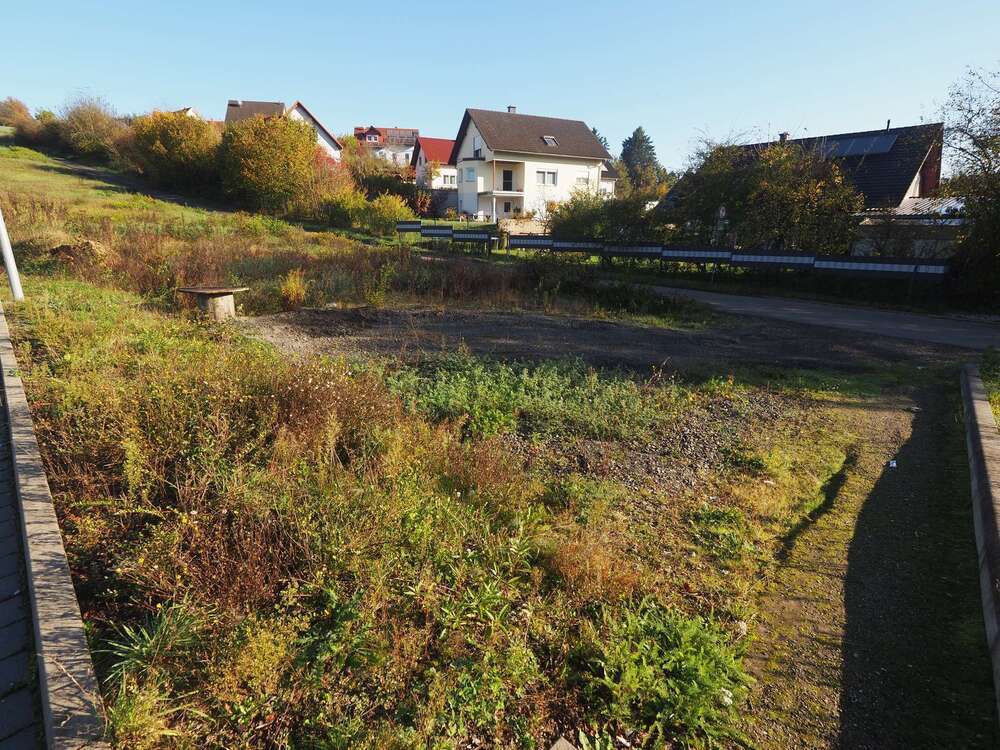 Thumbnail-Grundstück in Rieschweiler-Mühlbach 20.000,00 € 382 m²