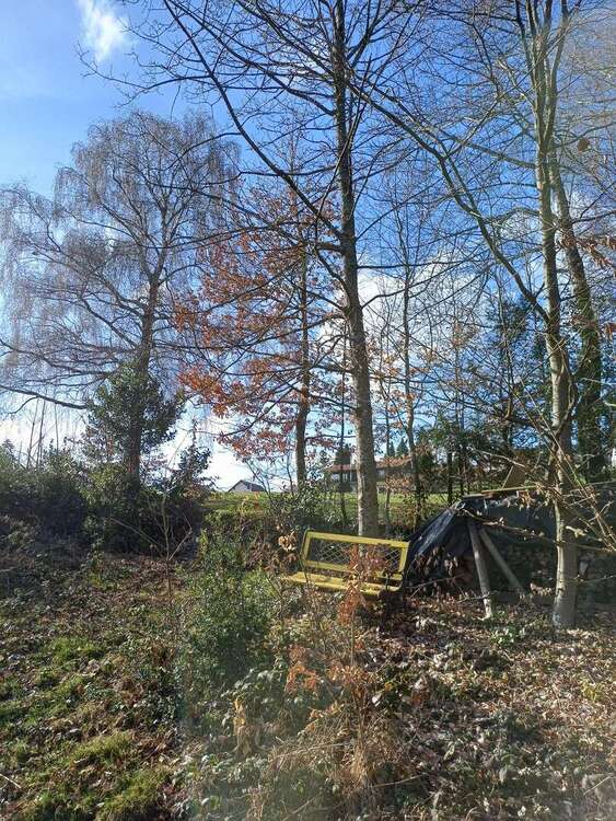 Thumbnail-Grundstück zu verkaufen in Wilhelmsfeld 685.000,00 € 2000 m²