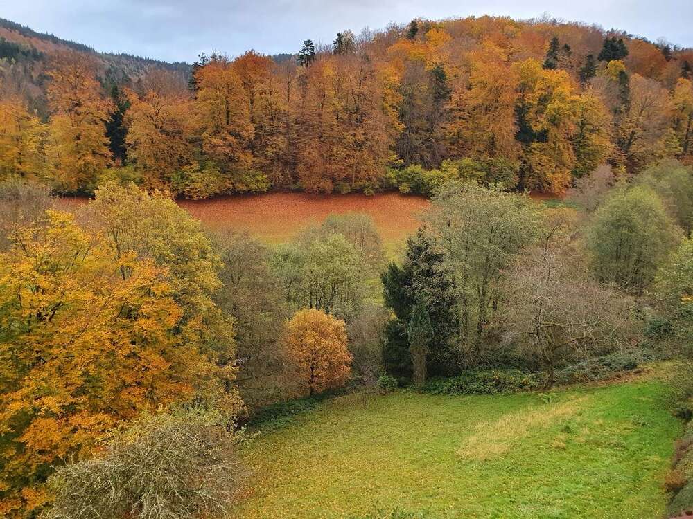 Thumbnail-Wohnung zum Kaufen in Bad Herrenalb 199.000,00 € 100 m²