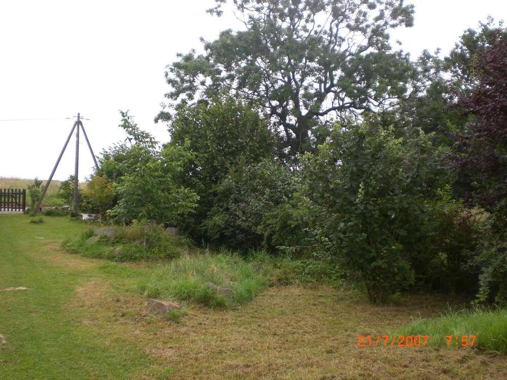 Thumbnail-Grundstück zu verkaufen in Fahrenwalde, OT Karlsruh 59.000,00 € 10312 m²