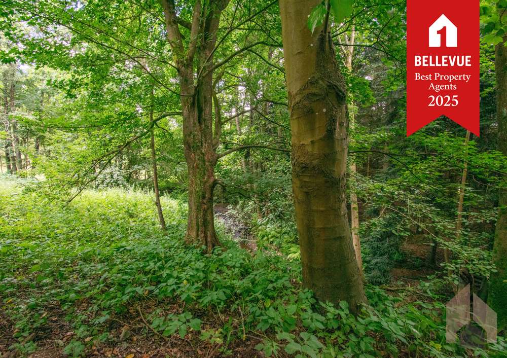 Thumbnail-Grundstück zu verkaufen in Eitorf Halft 435.000,00 € 2110 m²