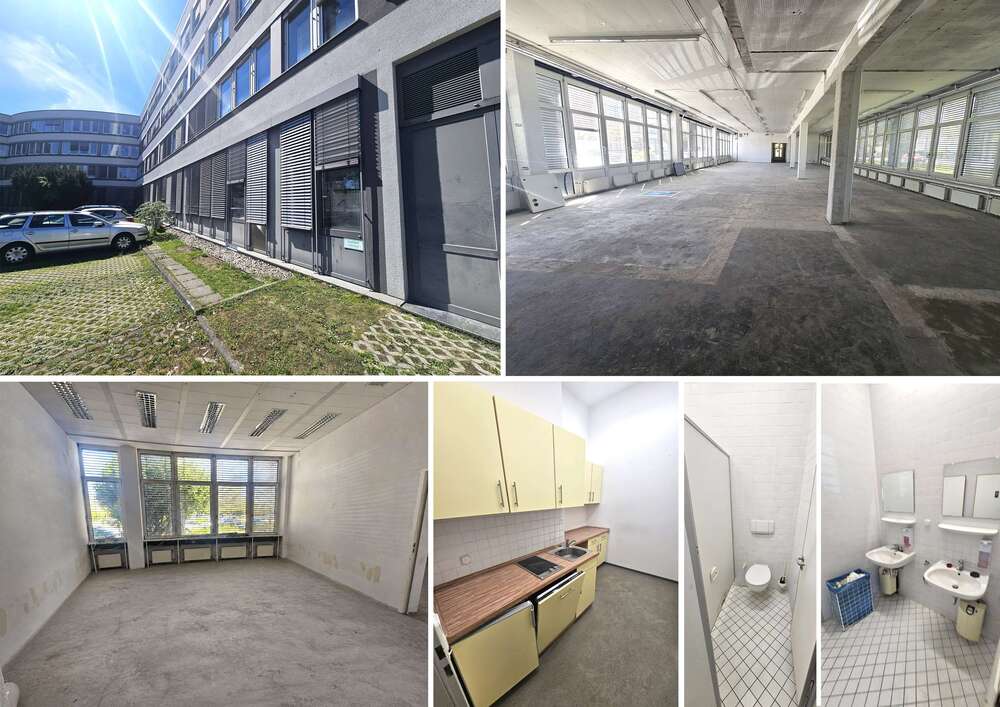 Thumbnail-Büro in Leipzig 6.795,00 € 799.11 m²