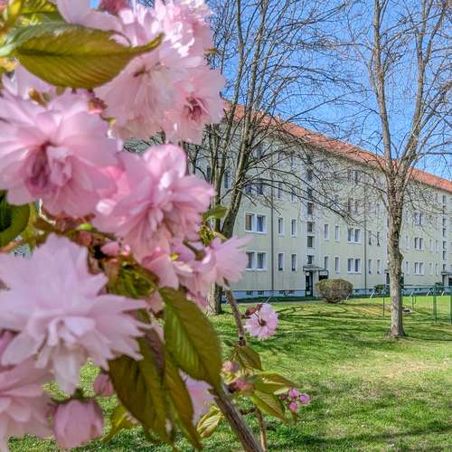 Thumbnail-Wohnung zum Mieten in Freiberg 306,00 € 47 m²