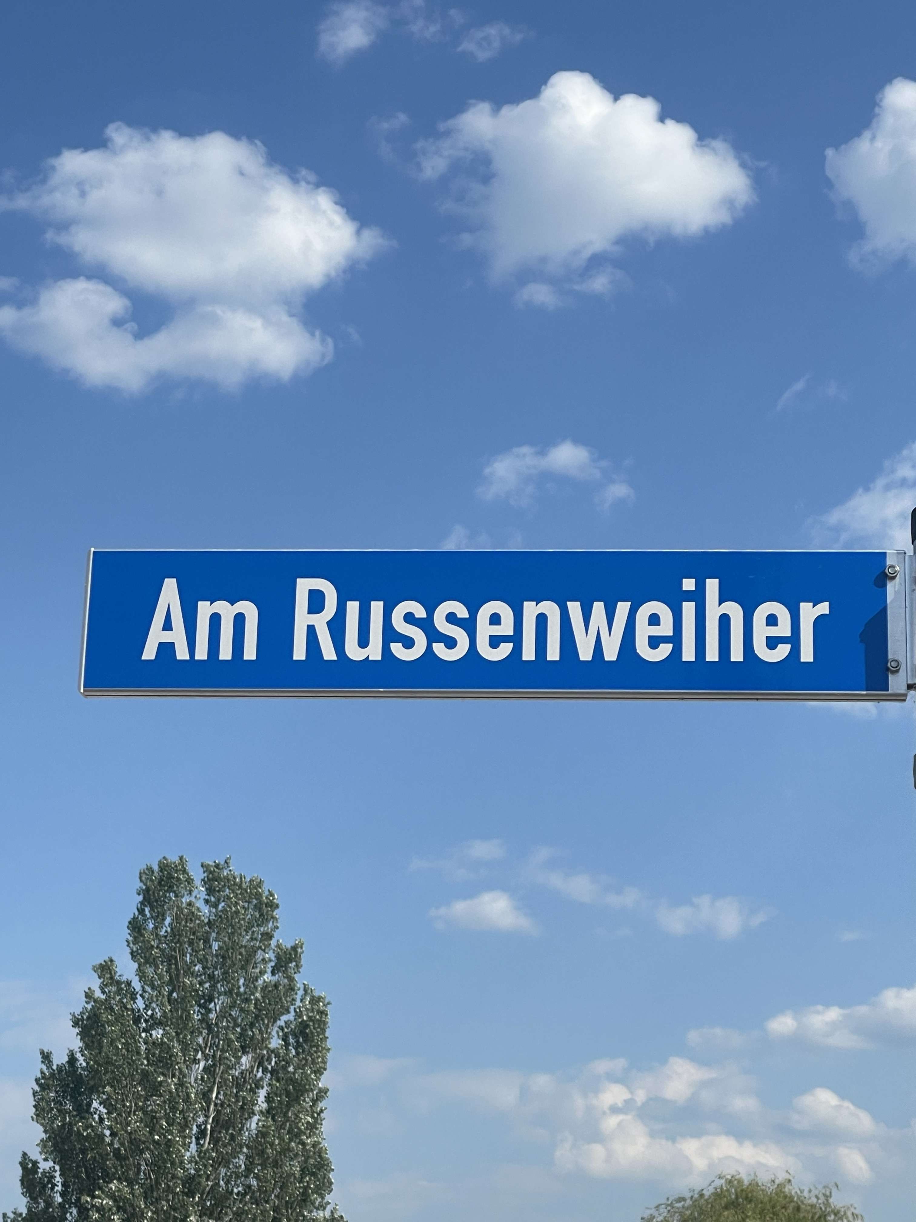 Thumbnail-Grundstück zu verkaufen in Speyer 253.440,00 € 198 m²