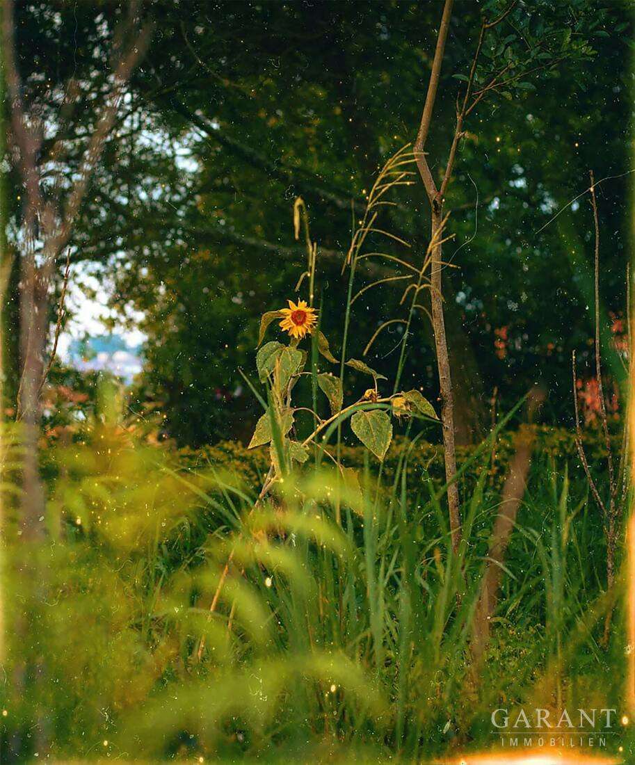 Thumbnail-Grundstück zu verkaufen in Diedorf 580.000,00 € 2000 m²