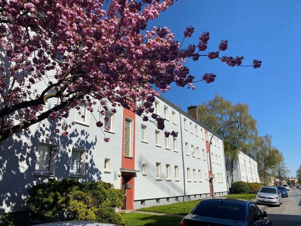 Thumbnail-Wohnung zum Mieten in Dortmund 450,00 € 44 m²